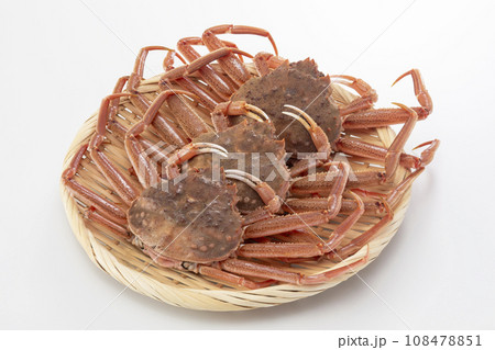 セコガニ　セイコガニ 108478851