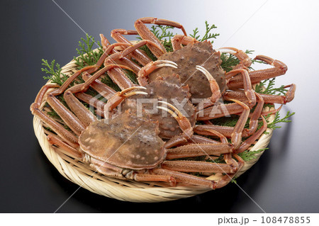 セコガニ セイコガニ セコガニ セイコガニ 108478855