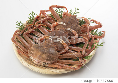 セコガニ　セイコガニ 108478861