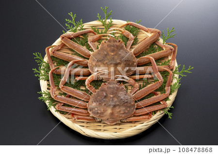 セコガニ　セイコガニ 108478868