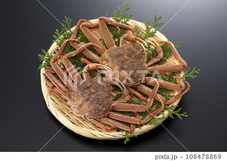 セコガニ　セイコガニ 108478869