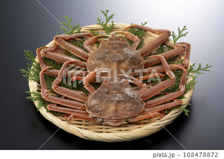 セコガニ セイコガニ セコガニ セイコガニ 108478872