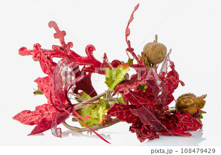 Red Christmas decoration 108479429