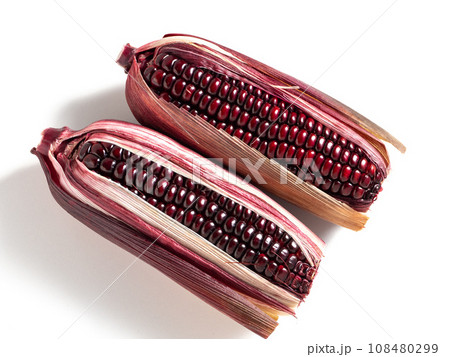 紫とうもろこし 108480299