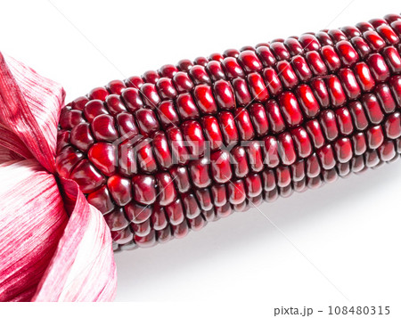 紫とうもろこし 108480315