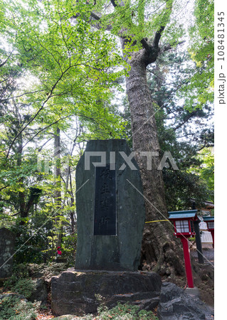 石碑 殺生禁断 秋晴れの青空 東京都八王子市 石碑 殺生禁断 秋晴れの青空 東京都八王子市 108481345