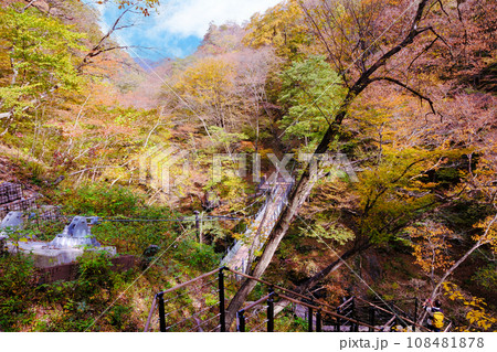 紅葉台と遊歩道 108481878