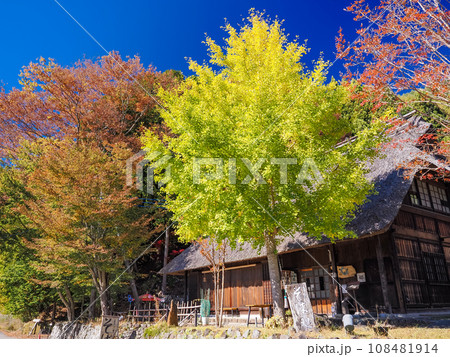 (山梨県)秋の西湖いやしの里・根場(ねんば) (山梨県)秋の西湖いやしの里・根場(ねんば) 108481914