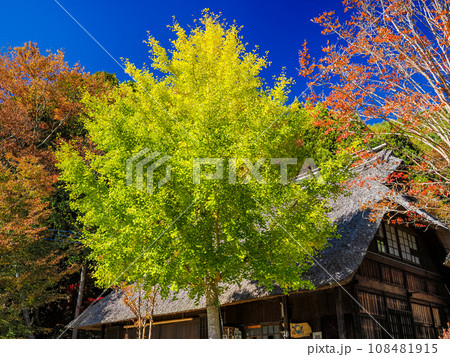 （山梨県）秋の西湖いやしの里・根場(ねんば) 108481915