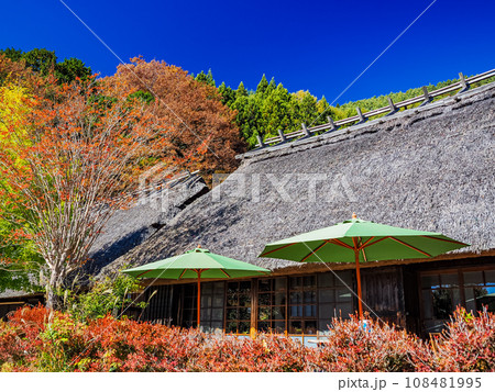 （山梨県）秋の西湖いやしの里・根場(ねんば) 108481995