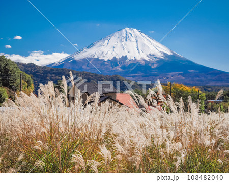 (山梨県)秋の西湖いやしの里・根場(ねんば) ススキ越しに富士山 (山梨県)秋の西湖いやしの里・根場(ねんば) ススキ越しに富士山 108482040