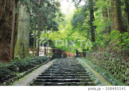 仙台　瑞鳳殿　独眼竜伊達政宗靈屋参道 108483141