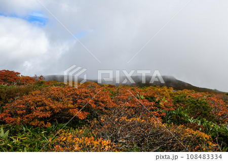 栗駒山の山岳紅葉(宮城県) 栗駒山の山岳紅葉(宮城県) 108483334