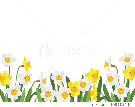 水仙畑のフレーム 水仙畑のフレーム 108483430