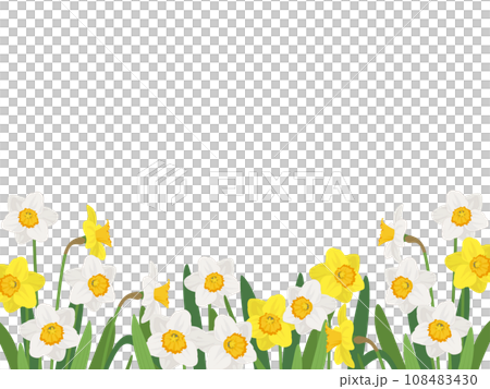 水仙畑のフレーム 水仙畑のフレーム 108483430