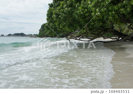 サメット島のビーチ サメット島のビーチ 108483531