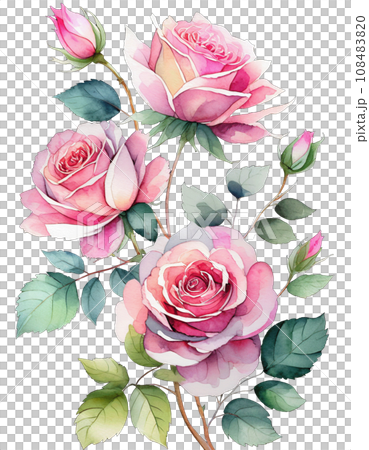 水彩画風のバラのイラスト 108483820