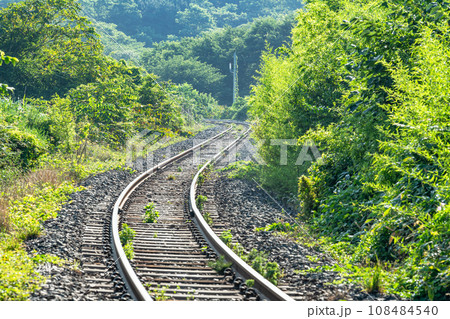 山中に敷かれたローカル線のレール　ローカル線イメージ（単線線路） 108484540