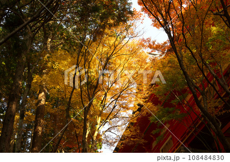 比叡山 横川中堂 比叡山 横川中堂 108484830