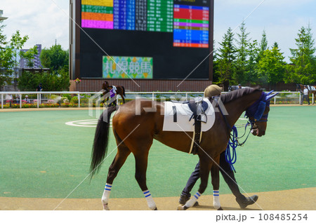 札幌競馬場パドック 札幌競馬場パドック 108485254
