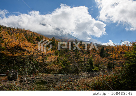 富士山の奥庭から望む紅葉（山梨県） 108485345