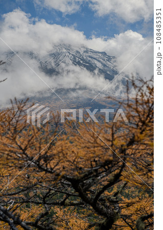 富士山・奥庭から黄金色の紅葉（山梨県） 108485351