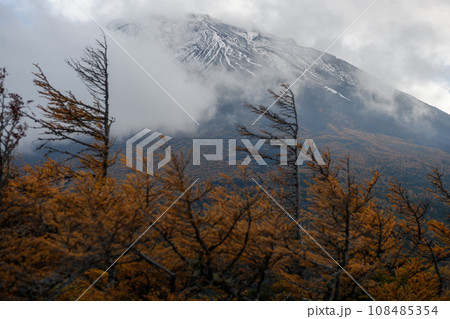 奥庭から望む紅葉と富士山（山梨県） 108485354