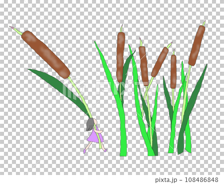 ガマのイラスト 108486848