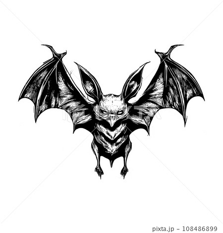 Halloween scary bat sketch close-up 108486899