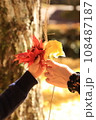 銀杏と紅葉の葉を持つ少女と女性の手 108487187
