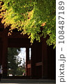 グラデーション紅葉　寺門バック 108487189
