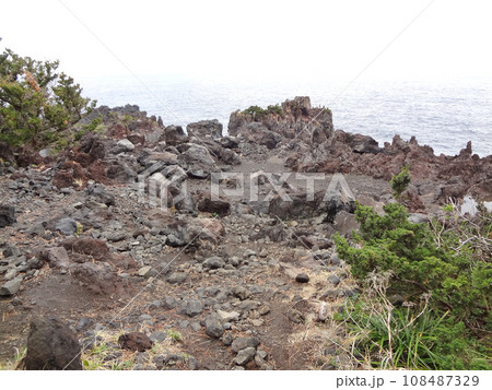 城ヶ崎海岸 城ヶ崎海岸 108487329