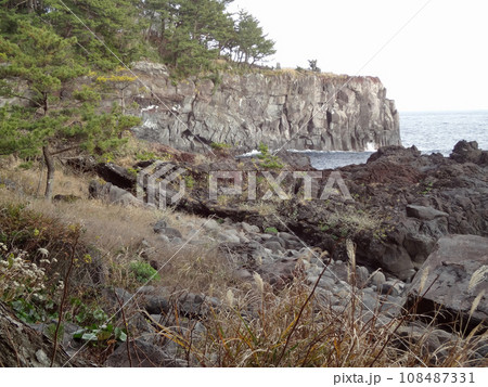 城ケ崎海岸 108487331