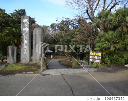 城ケ崎海岸 108487332