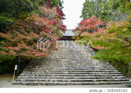 京都 高雄 神護寺の紅葉 108488182
