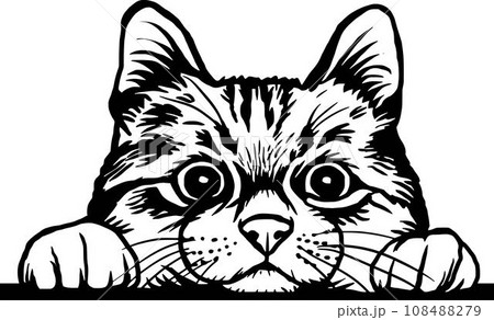 Peeking Cat - Funny Cat peeking out - face head isolated on white 108488279