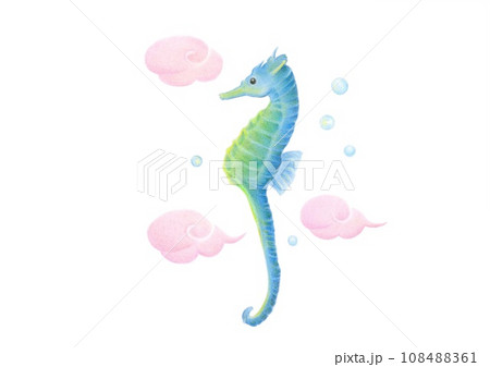 タツノオトシゴ　手描き　色鉛筆画 108488361