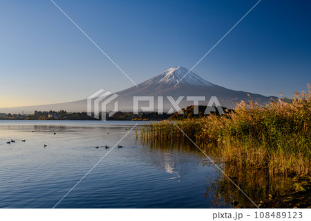 富士山の秋の朝と河口湖畔の紅葉（山梨県） 108489123