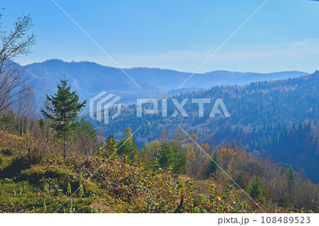 Distant mountains with blue haze framed by autumn grass 108489523