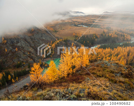 Wonderful alpine landscape with mountain river Argut in valley with forest in autumn colors on background of foggy mountains silhouettes under low clouds. Beautiful mountain valley in autumn. Wonderful alpine landscape with mountain river Argut in valley with forest in autumn colors on background of foggy mountains silhouettes under low clouds. Beautiful mountain valley in autumn. 108490682