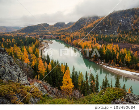 Wonderful alpine landscape with mountain river Argut in valley with forest in autumn colors on background of foggy mountains silhouettes under low clouds. Beautiful mountain valley in autumn. 108490684