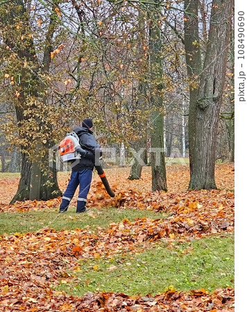 Autumn leaf cleaning in the park. Male worker removes leaf blower lawn of autumn garden. Autumn leaf cleaning in the park. Male worker removes leaf blower lawn of autumn garden. 108490690