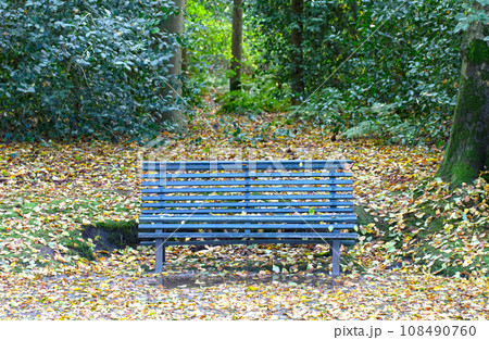 Wooden bench in a park, wet autumn leaves on ground Wooden bench in a park, wet autumn leaves on ground 108490760