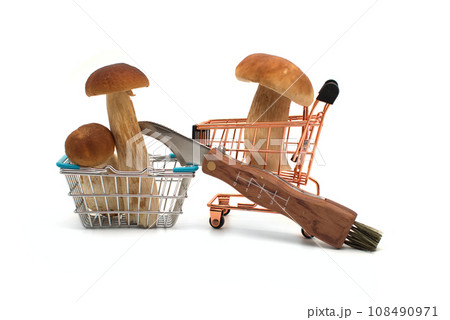 Penny Bun (Boletus edulis) isolated on white Penny Bun (Boletus edulis) isolated on white 108490971