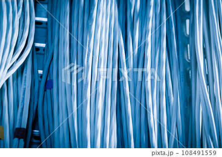 detail of large number of ethernet cables tied together connecting racks inside server room 108491559