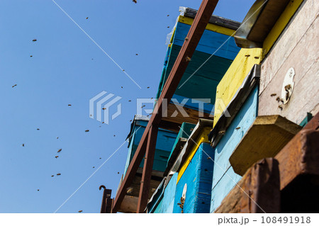 Group of bees near a beehive, in flight. Wooden beehive and bees. Bees fly out and fly into the round entrance of a wooden vintage beehive in an apiary close up view 108491918
