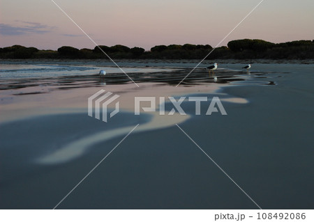 空 エーテル 大空 108492086