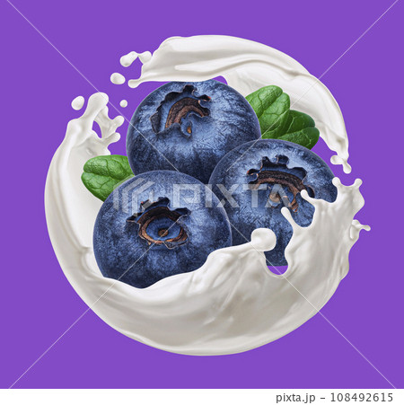 Blueberry with round milk splash on color background 108492615