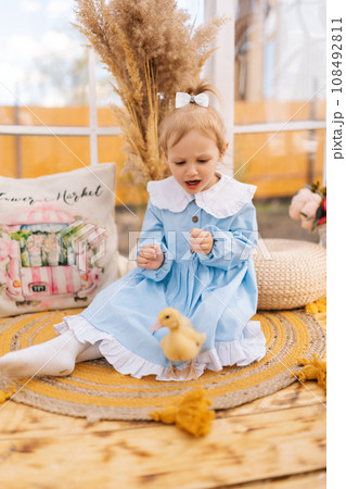 Vertical portrait of scared toddler girl with interest playing with little yellow duckling siting on wooden floor of summer gazebo house on sunny day. Concept of excursion to eco-farm, life in village 108492811