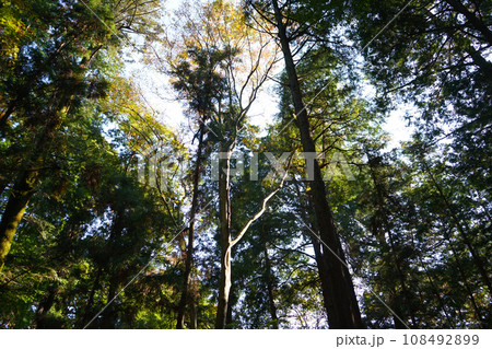 豊川稲荷 愛知 108492899